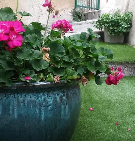 Apartament Domus Dulcis *